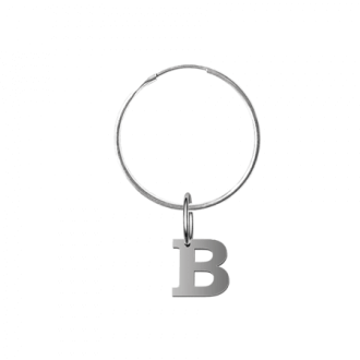 Silver earrings